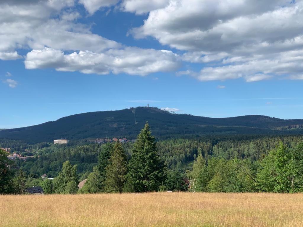 Apartamento Fühl dich wohl Braunlage Exterior foto